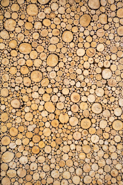 さまざまなサイズのカットログで作成された木製の壁機能 - material variation timber stacking ストックフォトと画像