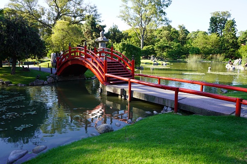 A beautiful landscape with a red bridge over a small river in a Japanese garden in Buenos Aires