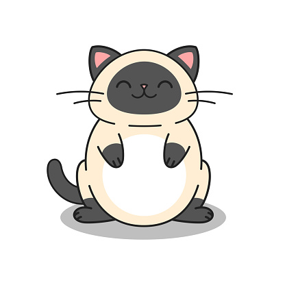 Kucing Gemuk Bahagia Yang Lucu Duduk Seperti Buddah Kucing Siam Dalam