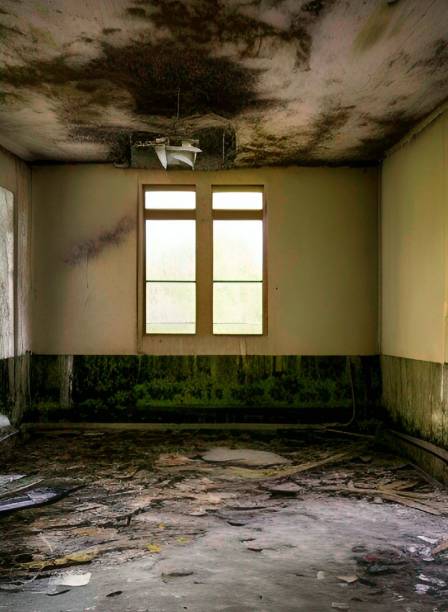 istock abandoned home in city 1450296761