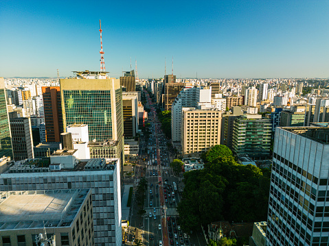Landscape of Paulista Avenue in Sao Paulo