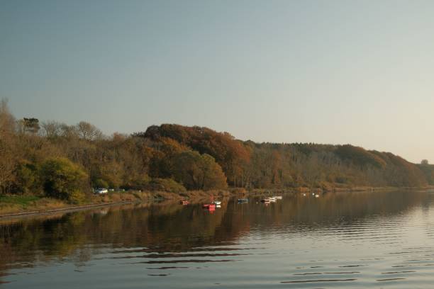 istock Moored boats on the river bank 1450298689