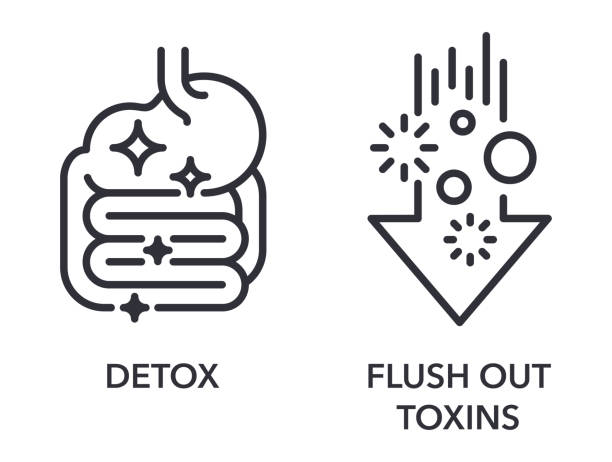 Detox and Flush Out Toxins for food supplement Detox and Flush Out Toxins icons set - labeling of food supplement. Pictograms set in thin line taking off activity stock illustrations