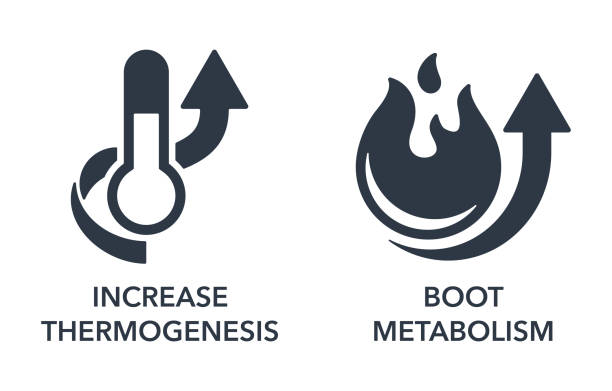 erhöhen sie die thermogenese, steigern sie den stoffwechsel symbolset - enzyme stoffwechsel stock-grafiken, -clipart, -cartoons und -symbole