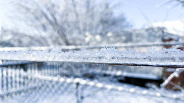 istock frozen wire in winter in the garden macro 1450302178