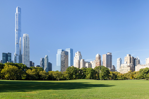 Manhattan skyscrapers and Central Park meadow