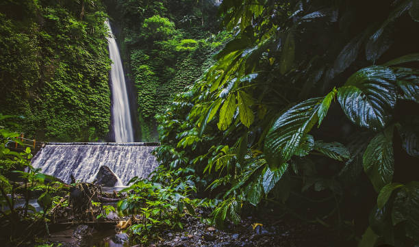 istock Waterfall, Rainforest in asia, Thailand -05 1450307587
