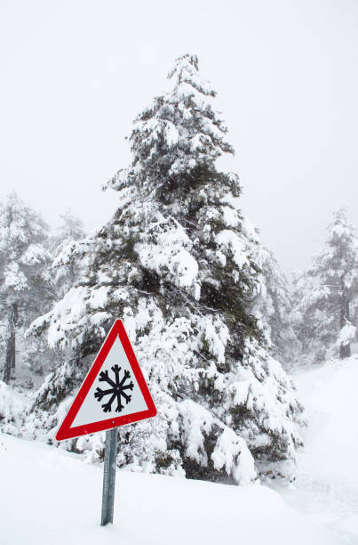 istock Pine Tree at Winter and Snow Sign 1450311364
