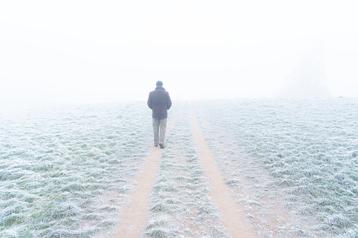 A path crosses a frosted field, shrouded in a blanket of icy fog.