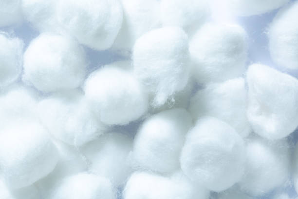 fluffy white cotton flower,macro white cotton texture,use cotton wool isolated on a white background. - cotton flower textile macro imagens e fotografias de stock