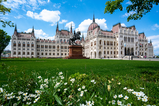 Hungarian parliament building backside with grass and flowers