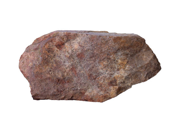 istock Brown stone or rock isolated on white background included clipping path. 1450317425