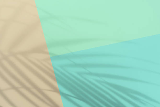 istock Tropical palm leaves shadow on pastel color background with copy space 1450321549