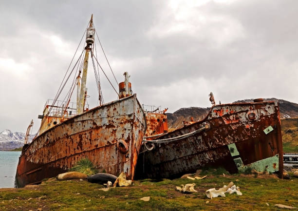 istock Grytviken Whaling Station #4 1450324133