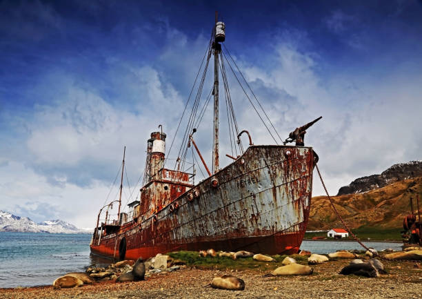 istock Grytviken Whaling Station #6 1450324140