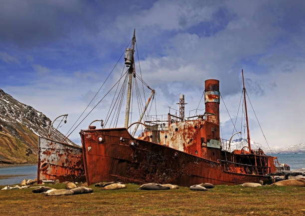 istock Grytviken Whaling Station #7 1450324241