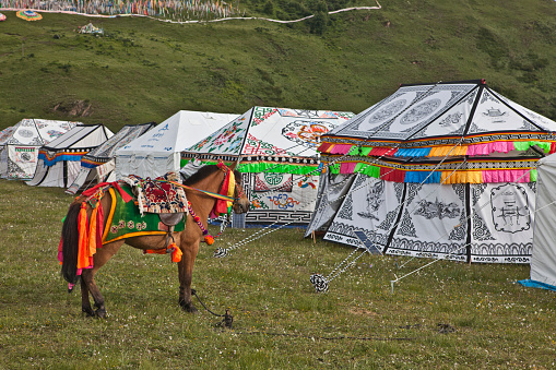 The nomads of Easton Tibet live in colorfully decorated tents, and dress their horses in colorful regalia. They are skillful horse people  \nHorse in Front of Tibetan Tents, Tagong, Kangding County, Sichuan, China