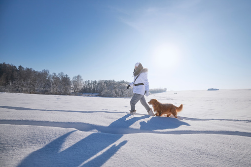 Woman with dog during frosty winter day. Pet owner walking on snowy field with his loyal Nova Scotia Duck Tolling Retriever.
