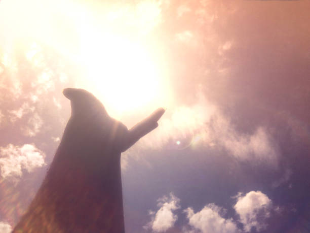 istock Reaching for the heavens 1450331738