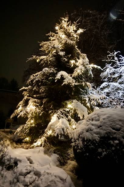 istock Christmas tree at night under the snow and in the burning light bulbs. A Christmas tree decorated with electric lights stands under the snow. 1450334311