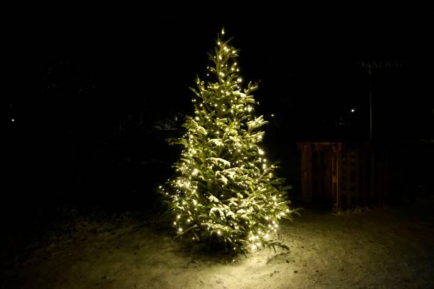 istock Christmas tree at night under the snow and in the burning light bulbs. A Christmas tree decorated with electric lights stands under the snow. 1450334363