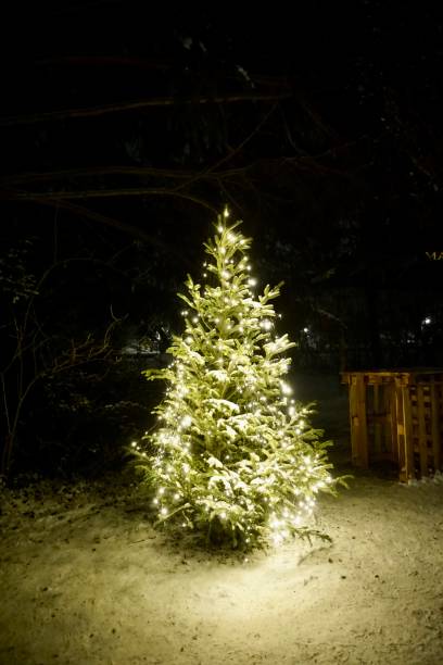 istock Christmas tree at night under the snow and in the burning light bulbs. A Christmas tree decorated with electric lights stands under the snow. 1450334385