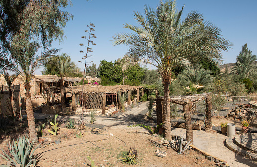 Outdoor area of rural eco lodge in egyptian villlage with desert garden and palm trees