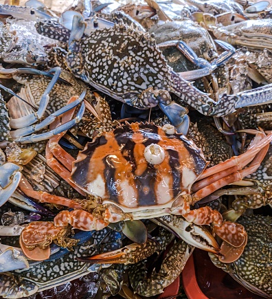 Photo of fresh crabs at market in basket