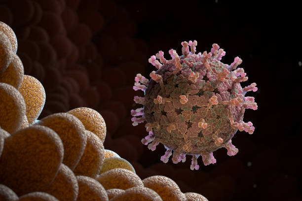 istock Rotavirus in the stomach 1450340736