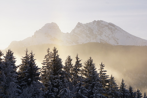 Snow-capped mountains and coniferous forest in Berchtesgaden, Upper Bavaria. The Bavarian Alps in winter and the coniferous forest stands like a wall at the foot. The Watzmann Mountains are at sunset in winter and the coniferous forest stands at the foot.