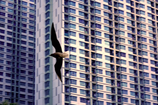 Tall large building in Bangkok, Thailand