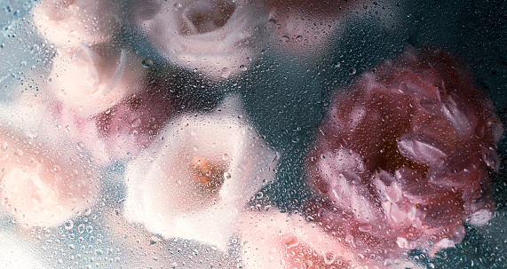 Hermoso ramo de flores de otoño en gotas de lluvia con crisantemo. Fondo floral abstracto en colores apagados, enfoque selectivo photo