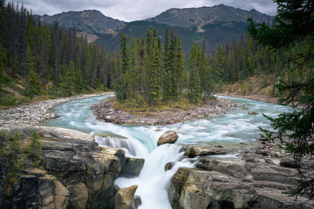 sunwapta falls - diaspro - canada - parco nazionale di jasper foto e immagini stock