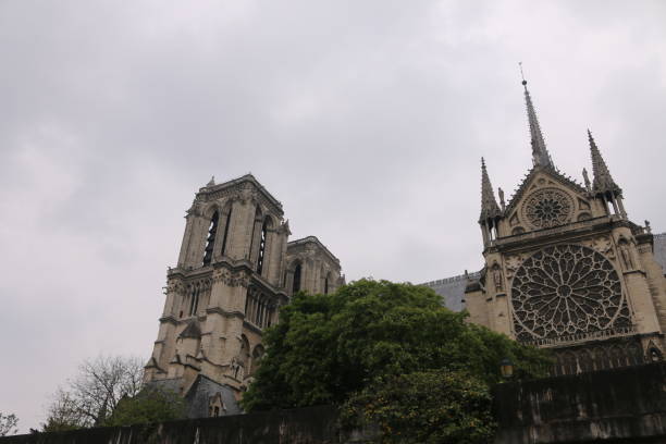 istock Notre Dame From The Seine 1450360227