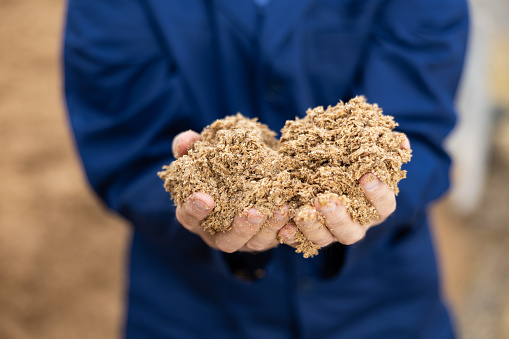 Hands of male farmworker holding handful of brewers grains on background of large pile. Organic waste used as livestock feedstuff