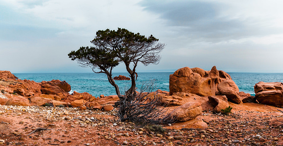 A rocky red granite landscape and lone tree at Coccorocci Beach on the east coast of Sardinia