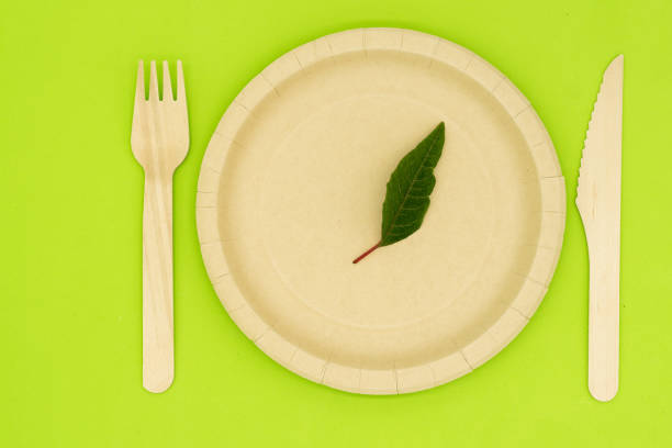 istock Ecological plates, fork, knife and glass, eco-friendly, composting, disposable and recyclable materials. Zero plastic, save the planet, stop plastic. Waste recycling concept. Ban single-use plastics 1450368169