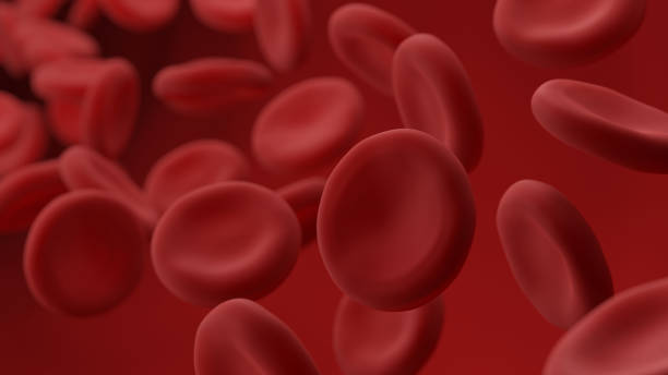 Red blood cells. Erythrocytes. Red blood cells. Erythrocytes. 3d illustration. Red Blood Cell stock pictures, royalty-free photos & images