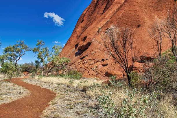 Australian Outback vegetation and red rocks, Northern Territory.