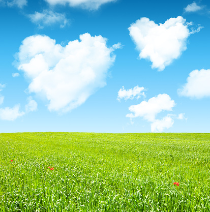 Green grass and cloud heart on blue sky. This file is cleaned and retouched.
