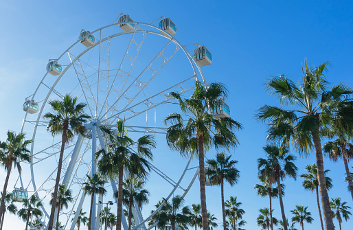 view of palm trees and giant Ferris wheel in Puerto Marina, Benalmadena, Malaga