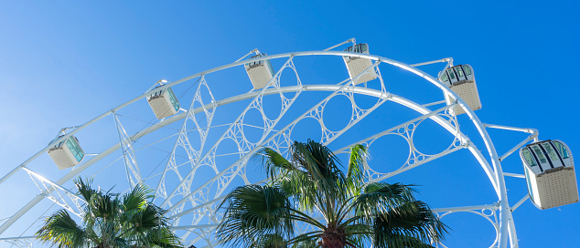 view of palm trees and giant Ferris wheel in Puerto Marina, Benalmadena, Malaga