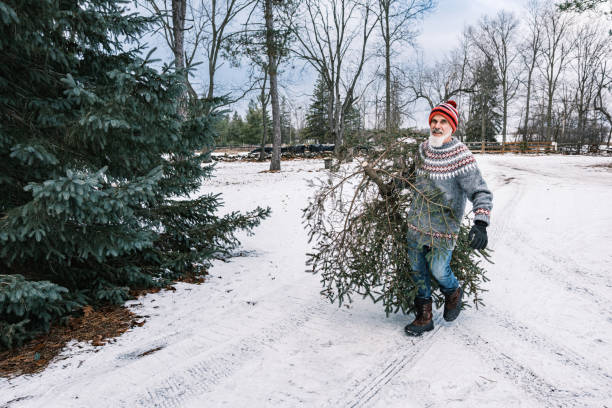 istock Mature man with beard carrying  Christmas tree outdoors 1450386699