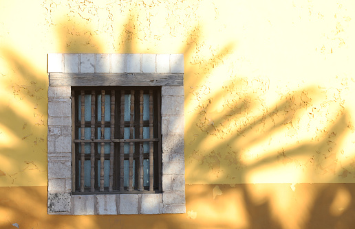 An old window with palm tree shadow on a Mexican casita.