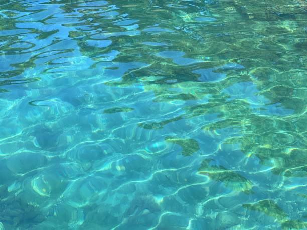 istock Azure ocean blue water ripples background 1450388420