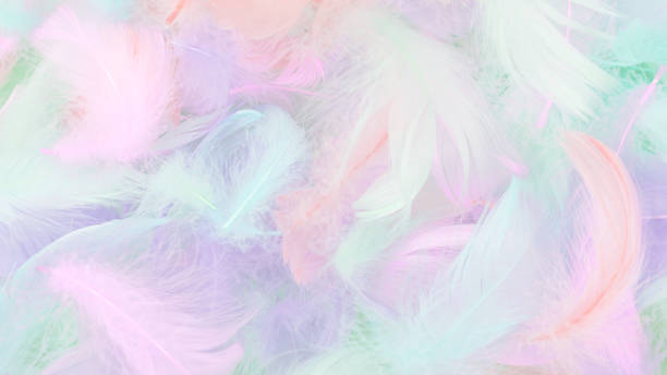 istock Colorful feather background, top view. 1450388871
