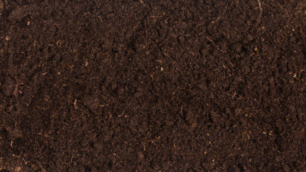istock Soil for plant isolated on white background. 1450388930
