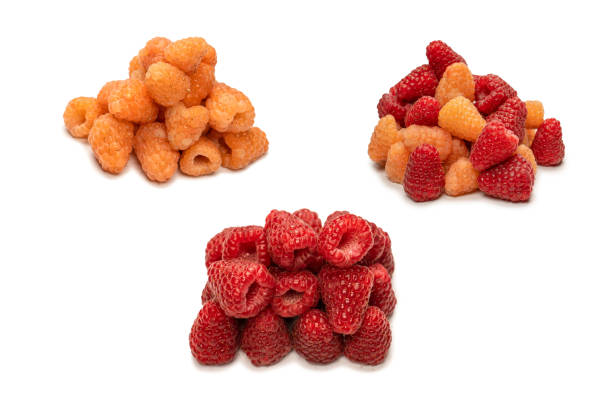 istock Tasty raspberries isolated on  white background. 1450388966