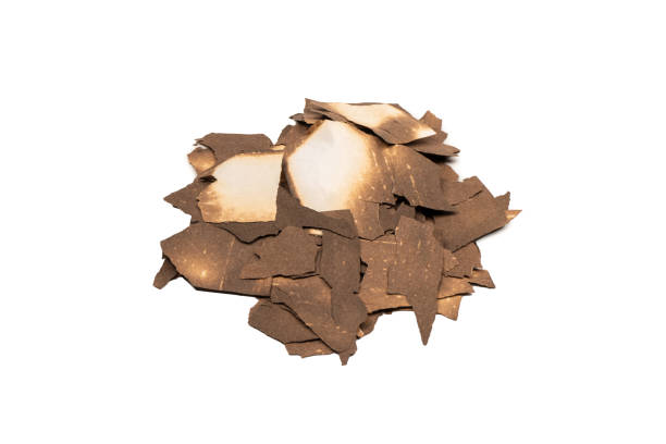 istock Burnt paper isolated on a white background. 1450389124