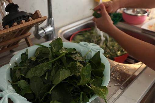 Washing fresh spinach leaves in kitchen